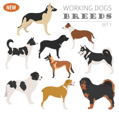 Köpek doğurmak, izlerken çalışma, üzerinde beyaz izole Icon set. Düz