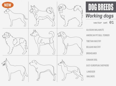 Köpek doğurmak, izlerken çalışma, üzerinde beyaz izole Icon set. Outli