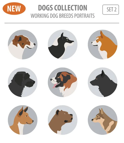 Werken, kijken hond rassen, instellen geïsoleerd op wit pictogram Flat — Stockvector