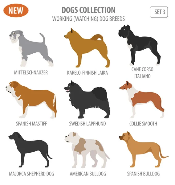 Trabajar, ver razas de perros, establecer icono aislado en blanco. Plano — Vector de stock