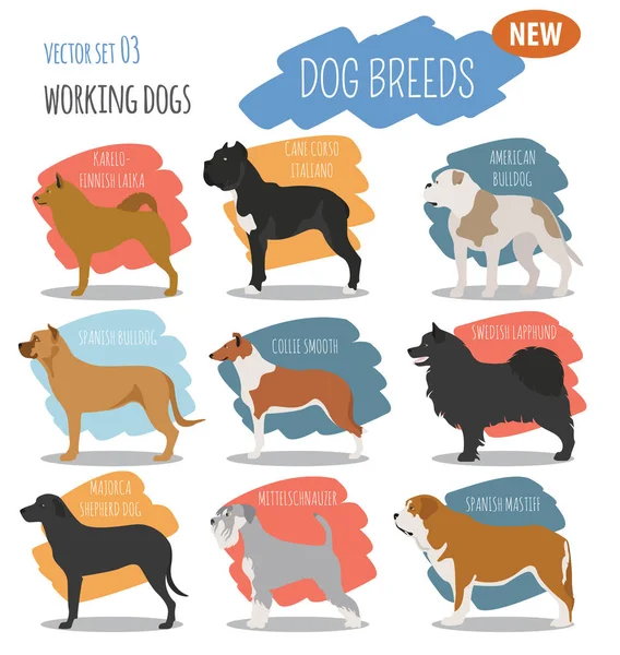 Trabajar, ver razas de perros, establecer icono aislado en blanco. Plano — Vector de stock