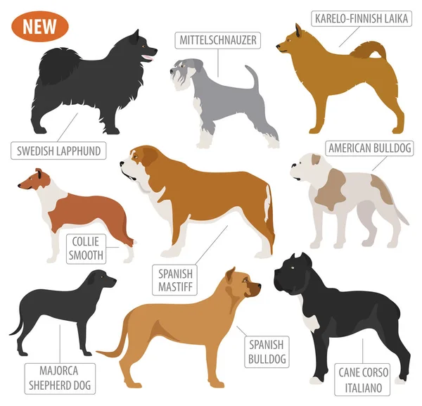 Trabajar, ver razas de perros, establecer icono aislado en blanco. Plano — Vector de stock