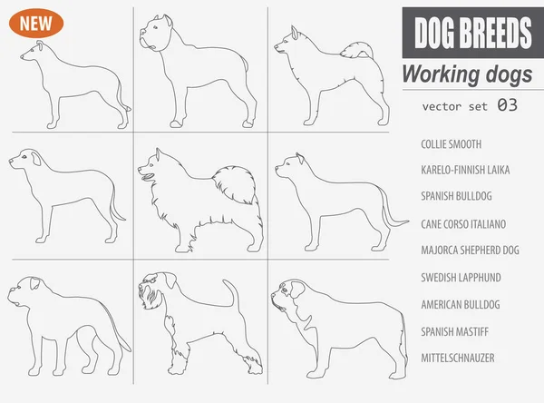 Werken, kijken hond rassen, instellen geïsoleerd op wit pictogram Outli — Stockvector