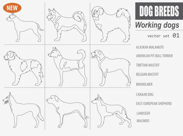 Trabalhando, observando raças de cães, definir ícone isolado no branco .Outli —  Vetores de Stock