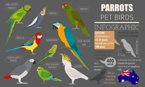 Papegaai rassen pictogrammenset vlakke stijl geïsoleerd op wit. Gezelschapsvogels c — Stockvector