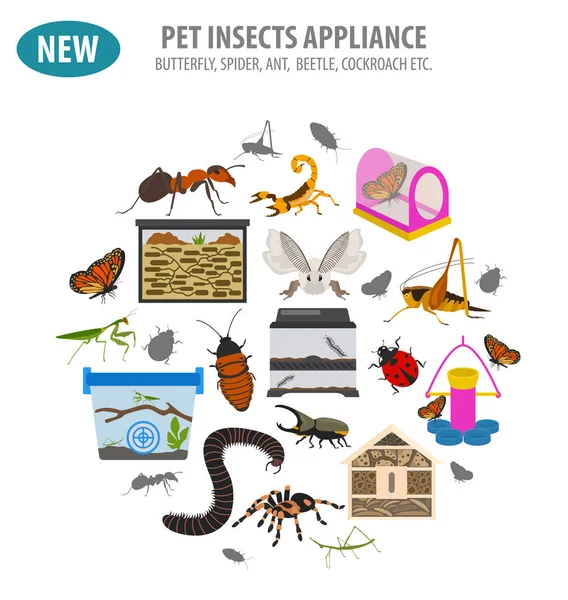 Conjunto de iconos de electrodomésticos estilo plano aislado en blanco. Insectos coche — Archivo Imágenes Vectoriales