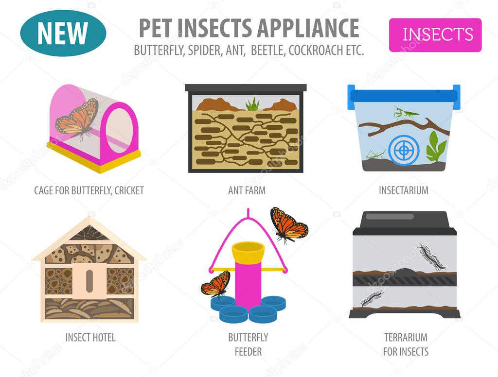Pet appliance icon set flat style isolated on white. Insects car