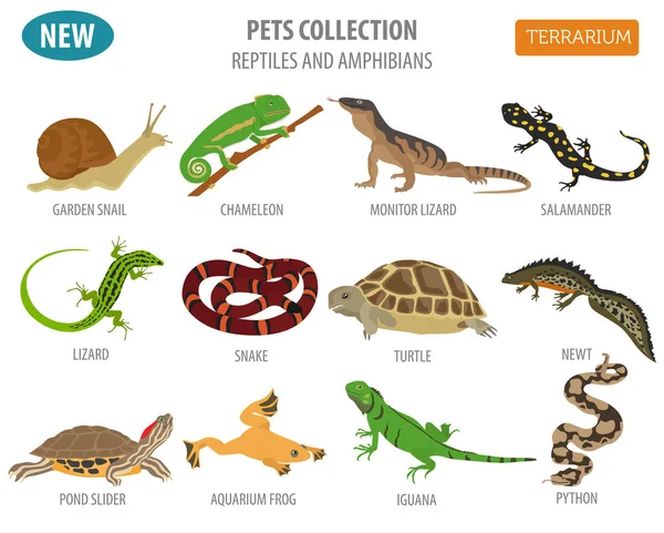 Conjunto de iconos de reptiles y anfibios para mascotas estilo plano aislado en whit — Archivo Imágenes Vectoriales