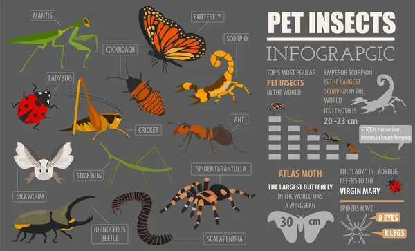 Mascotas insectos razas icono conjunto de estilo plano aislado en blanco. Casa — Archivo Imágenes Vectoriales