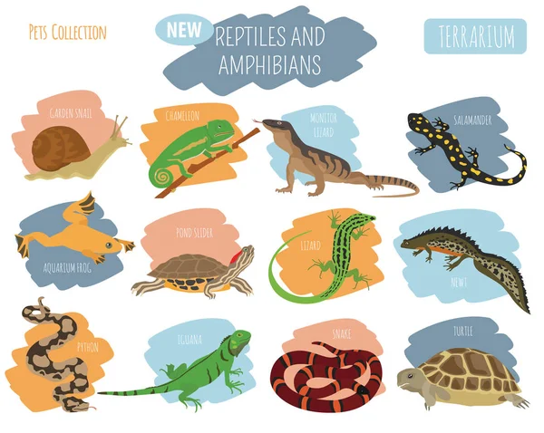 Conjunto de iconos de reptiles y anfibios para mascotas estilo plano aislado en whit — Vector de stock