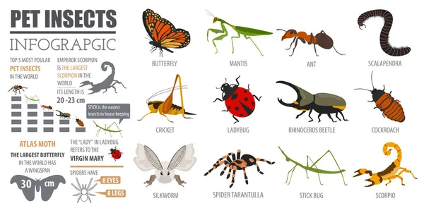 Mascotas insectos razas icono conjunto de estilo plano aislado en blanco. Casa — Vector de stock