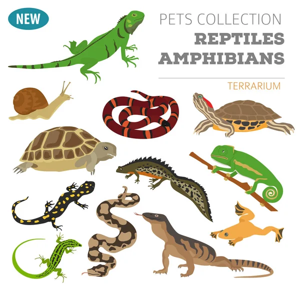 Conjunto de iconos de reptiles y anfibios para mascotas estilo plano aislado en whit — Vector de stock
