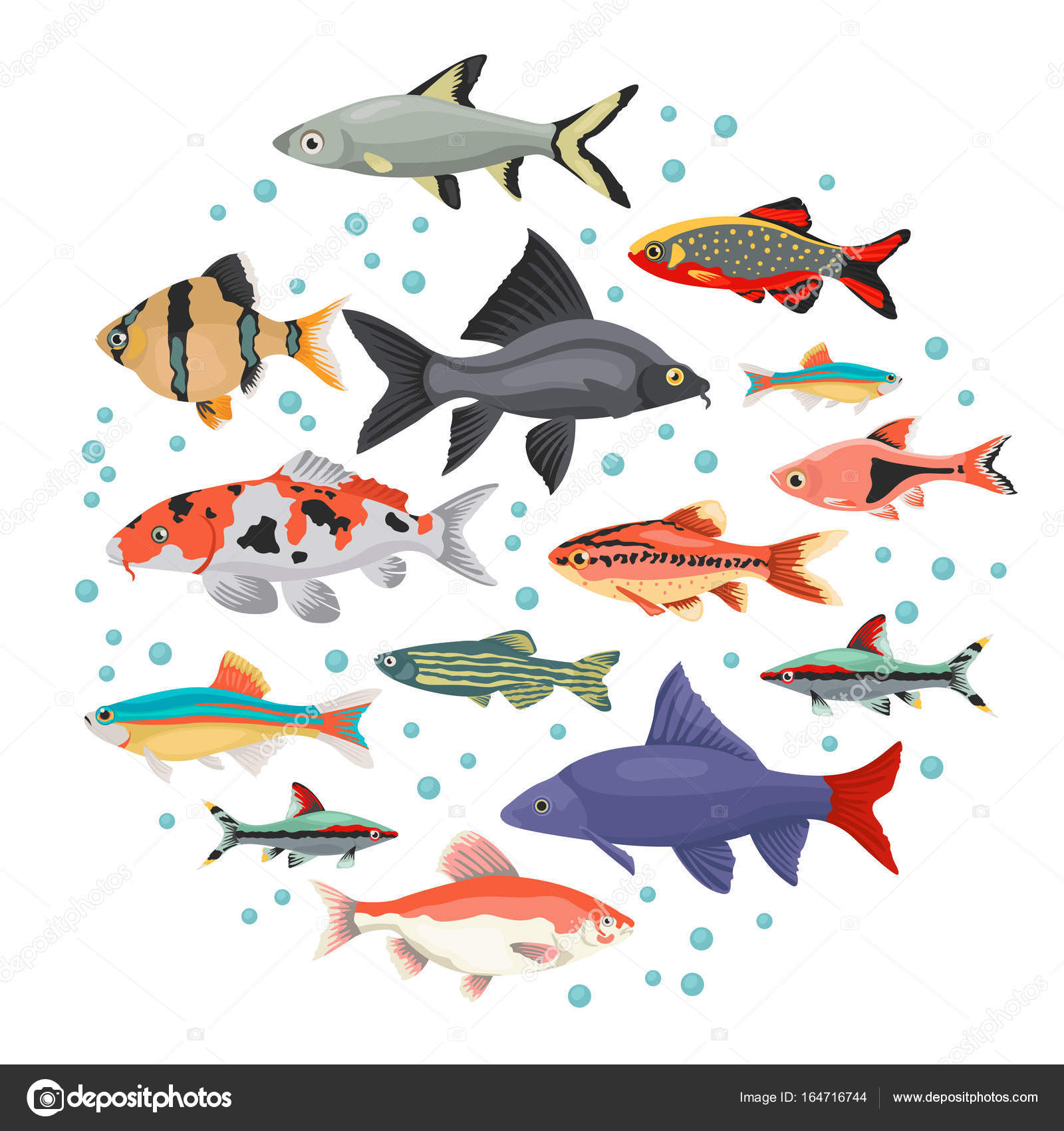 Icône De Races De Poissons Deau Douce Aquarium Mis En Plat