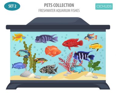 Düz stil izole o tatlı su akvaryum balık doğurmak Icon set