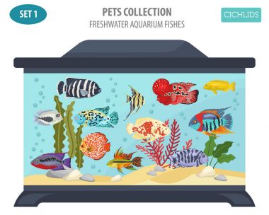 Düz stil izole o tatlı su akvaryum balık doğurmak Icon set