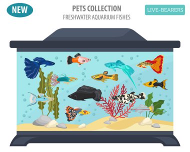 Beyaz izole düz stil tatlı su balıkları doğurmak Icon set. 