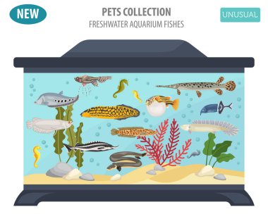 Olağandışı tatlı su akvaryum balık doğurmak simge kümesi düz stil isol