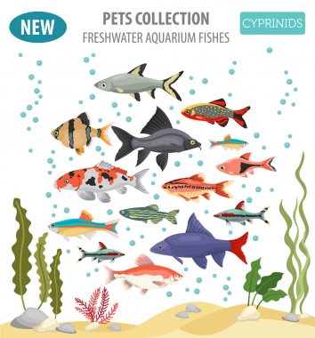 Düz stil izole o tatlı su akvaryum balık doğurmak Icon set