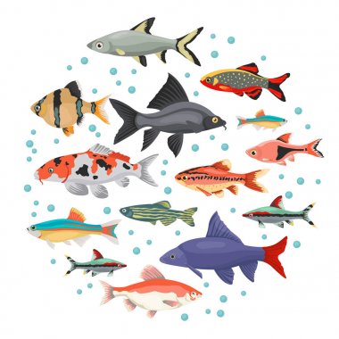 Düz stil izole o tatlı su akvaryum balık doğurmak Icon set