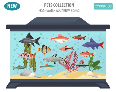 Düz stil izole o tatlı su akvaryum balık doğurmak Icon set