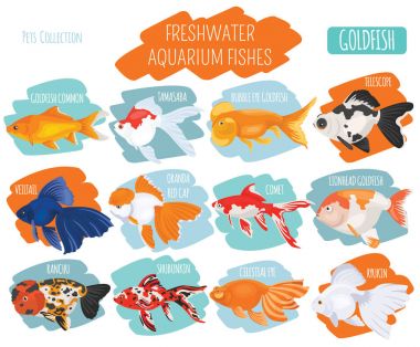 Freshwater aquarium fishes breeds icon set flat style isolated o clipart
