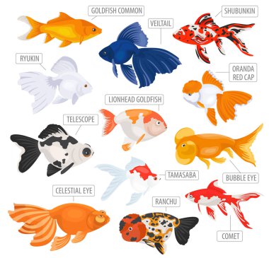 Freshwater aquarium fishes breeds icon set flat style isolated o clipart