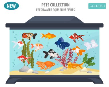 Düz stil izole o tatlı su akvaryum balık doğurmak Icon set