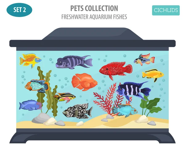 Düz stil izole o tatlı su akvaryum balık doğurmak Icon set