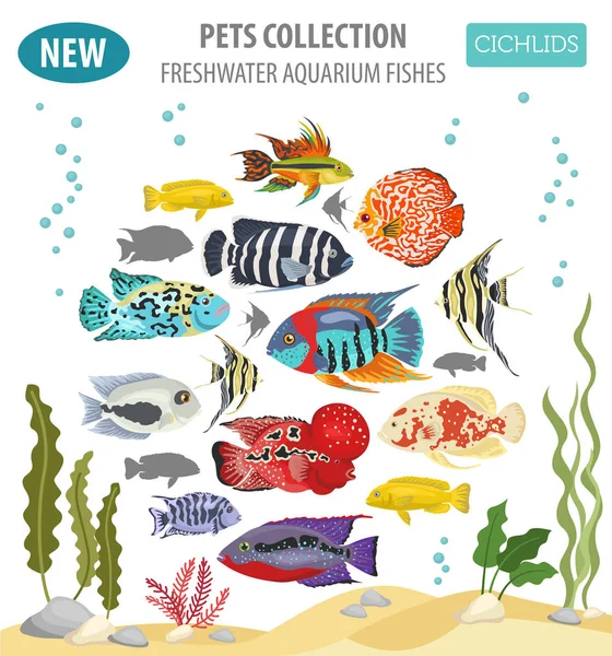 Düz stil izole o tatlı su akvaryum balık doğurmak Icon set