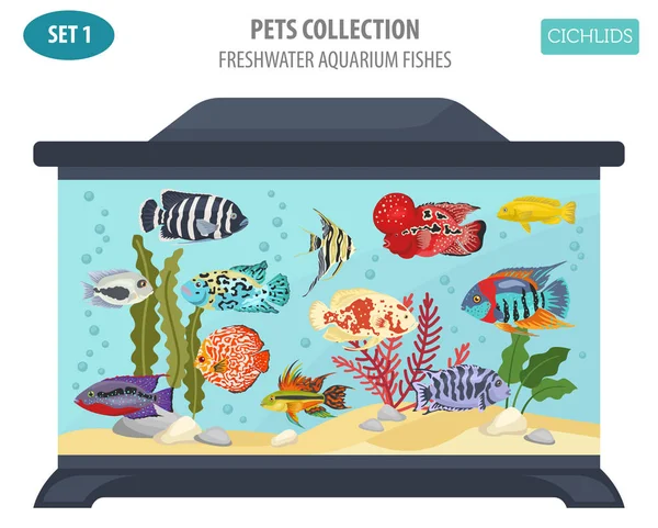 Peces de acuario de agua dulce razas icono conjunto de estilo plano aislado o — Vector de stock