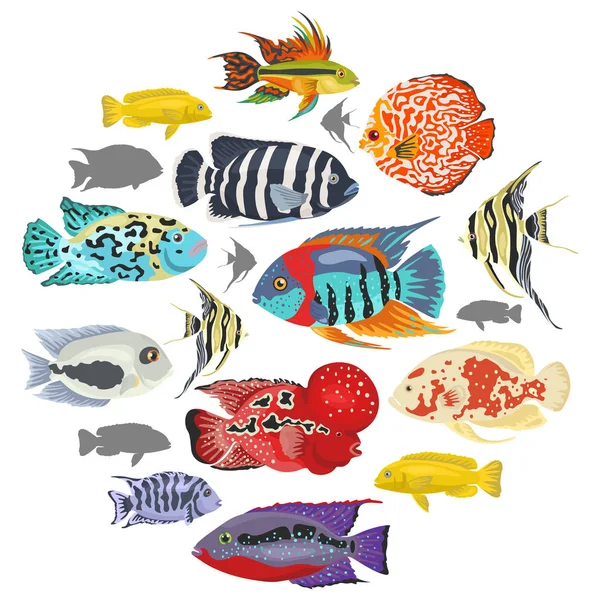 Sladkovodní akvarijní ryby plemen ikonu nastavit o izolované ploché styl — Stockový vektor
