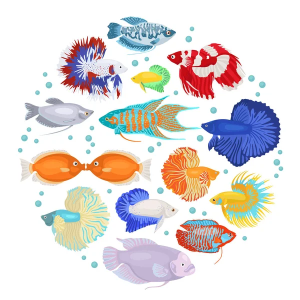 Aquarium d'eau douce poissons races icône ensemble plat style isolé o — Image vectorielle