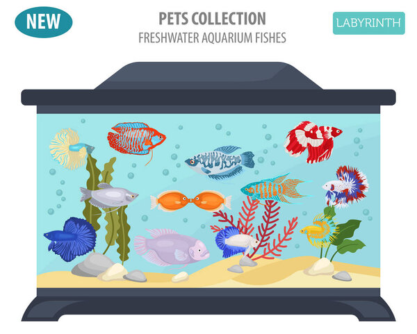 Рыбы пресноводный аквариум порождает иконку набор плоский стиль изолирован о
