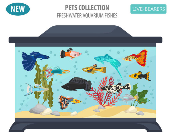 Пресноводные рыбы породы иконки набор плоский стиль изолирован на белом
. 