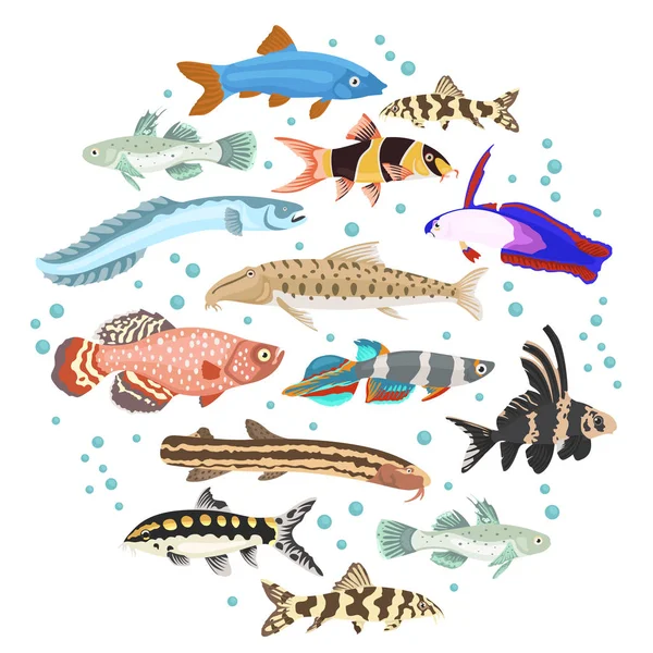 Sladkovodní akvarijní ryby plemen ikonu nastavit o izolované ploché styl — Stockový vektor