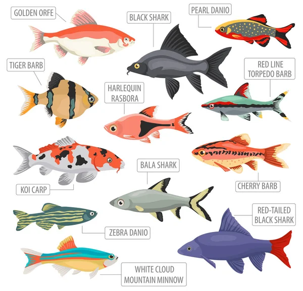 Zoetwater aquarium pictogrammenset vissen rassen vlakke stijl geïsoleerde o — Stockvector