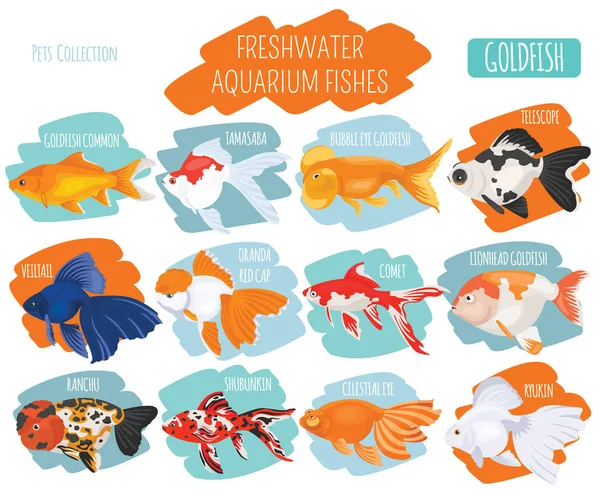 Freshwater aquarium fishes breeds icon set flat style isolated o — Stock Vector