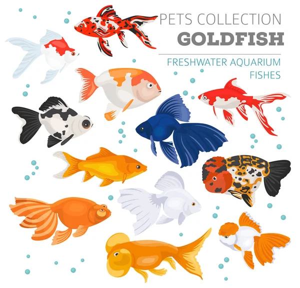 Düz stil izole o tatlı su akvaryum balık doğurmak Icon set