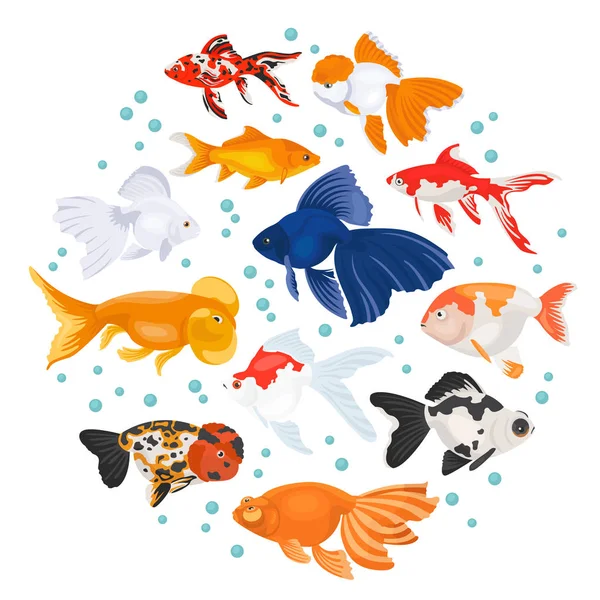 淡水水族馆鱼类品种图标设置平面样式孤立的 o — 图库矢量图片