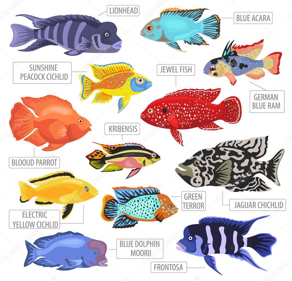 Freshwater aquarium fishes breeds icon set flat style isolated o