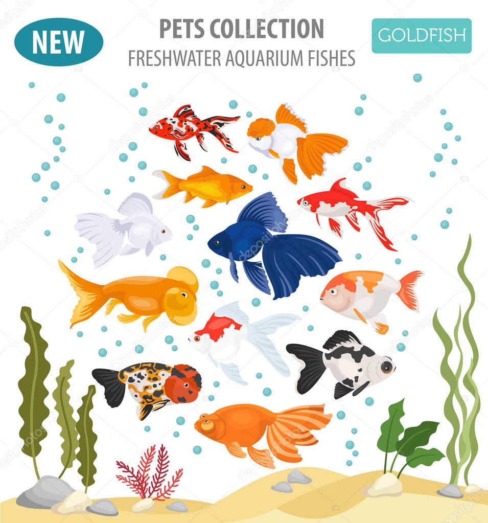 Freshwater aquarium fishes breeds icon set flat style isolated o