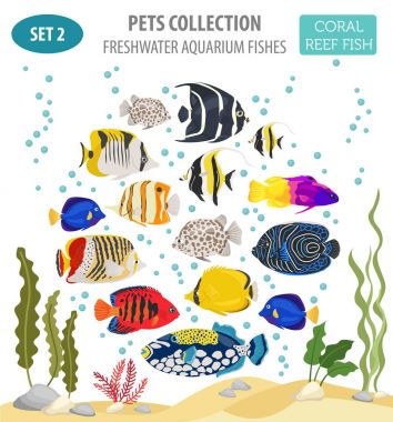 Tatlı su akvaryum balık üzerinde düz stil izole Icon set yayılış gösterirler. 