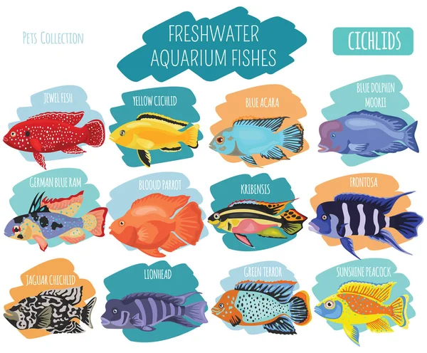Freshwater aquarium fishes breeds icon set flat style isolated o — Stock Vector