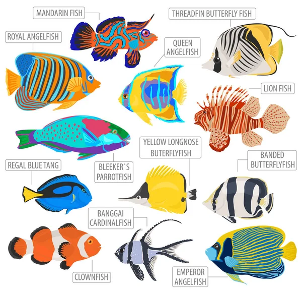 Freshwater aquarium fish breeds icon set flat style isolated on — Stock Vector