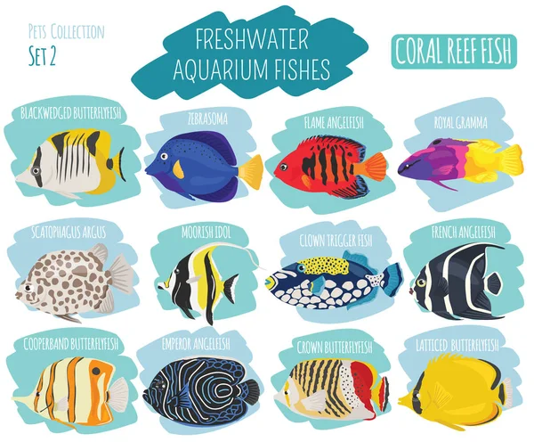 Aquário de água doce peixes raças ícone definido estilo plano isolado em —  Vetores de Stock