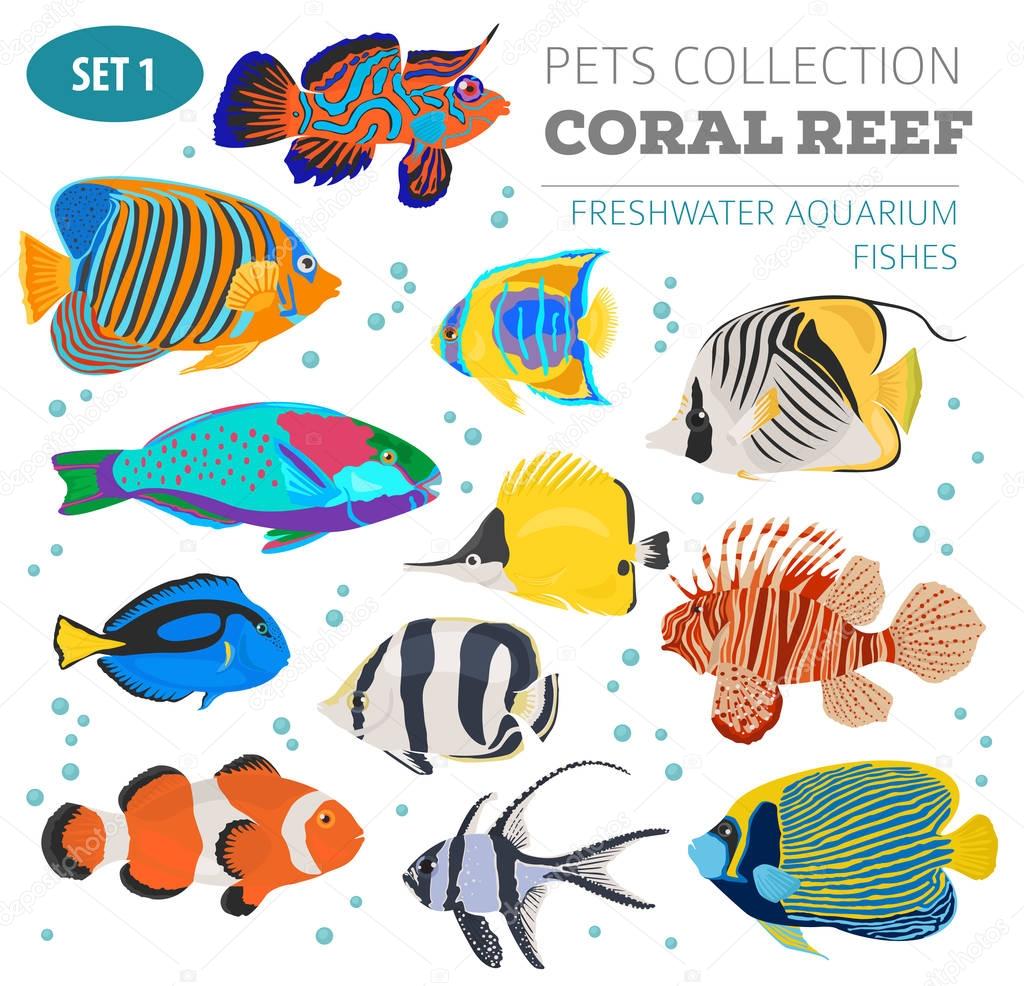 Freshwater aquarium fish breeds icon set flat style isolated on 