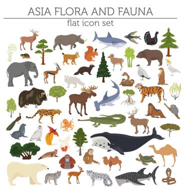 Düz Asya flora ve fauna Oluşturucu öğeleri eşleyin. Hayvanlar, bi