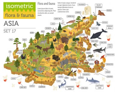 Isometric 3d Asian flora and fauna map constructor elements. Ani