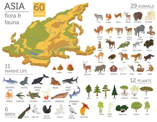 Isométrico 3d flora y fauna asiática mapa elementos constructores. Ani. — Vector de stock