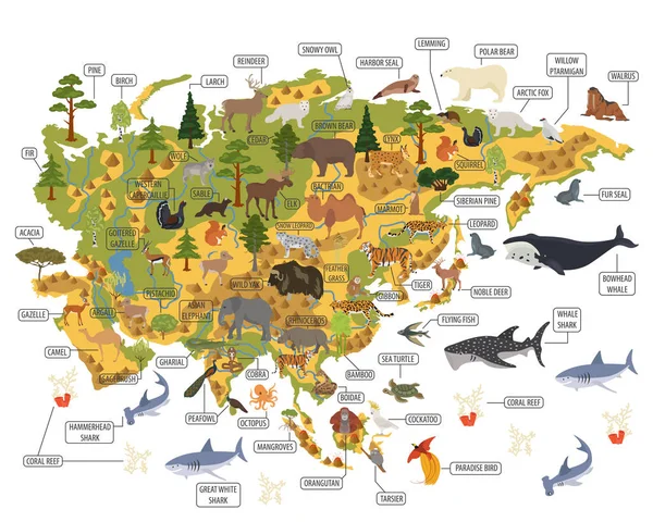 Plana flora y fauna asiática mapa elementos constructores. Animales, bi — Vector de stock